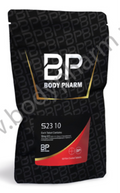 BP S23