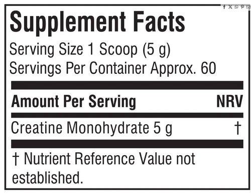 Evolve creatine Mono 300g